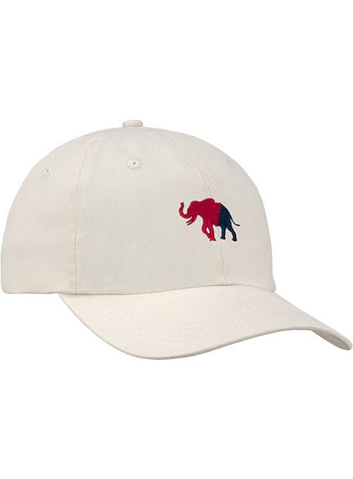Newport Elephant Relaxed Adjustable Ahead Cap in Chalk - Front Left View